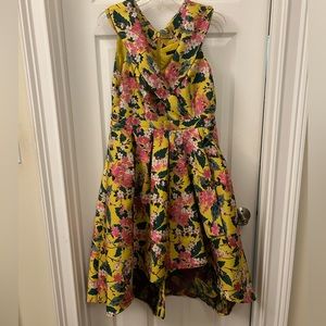 Alex Marie high low dress